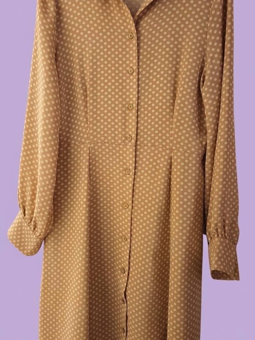 eva mendes for New York & Company Beige Polka Dot Long Sleeve Midi Dress